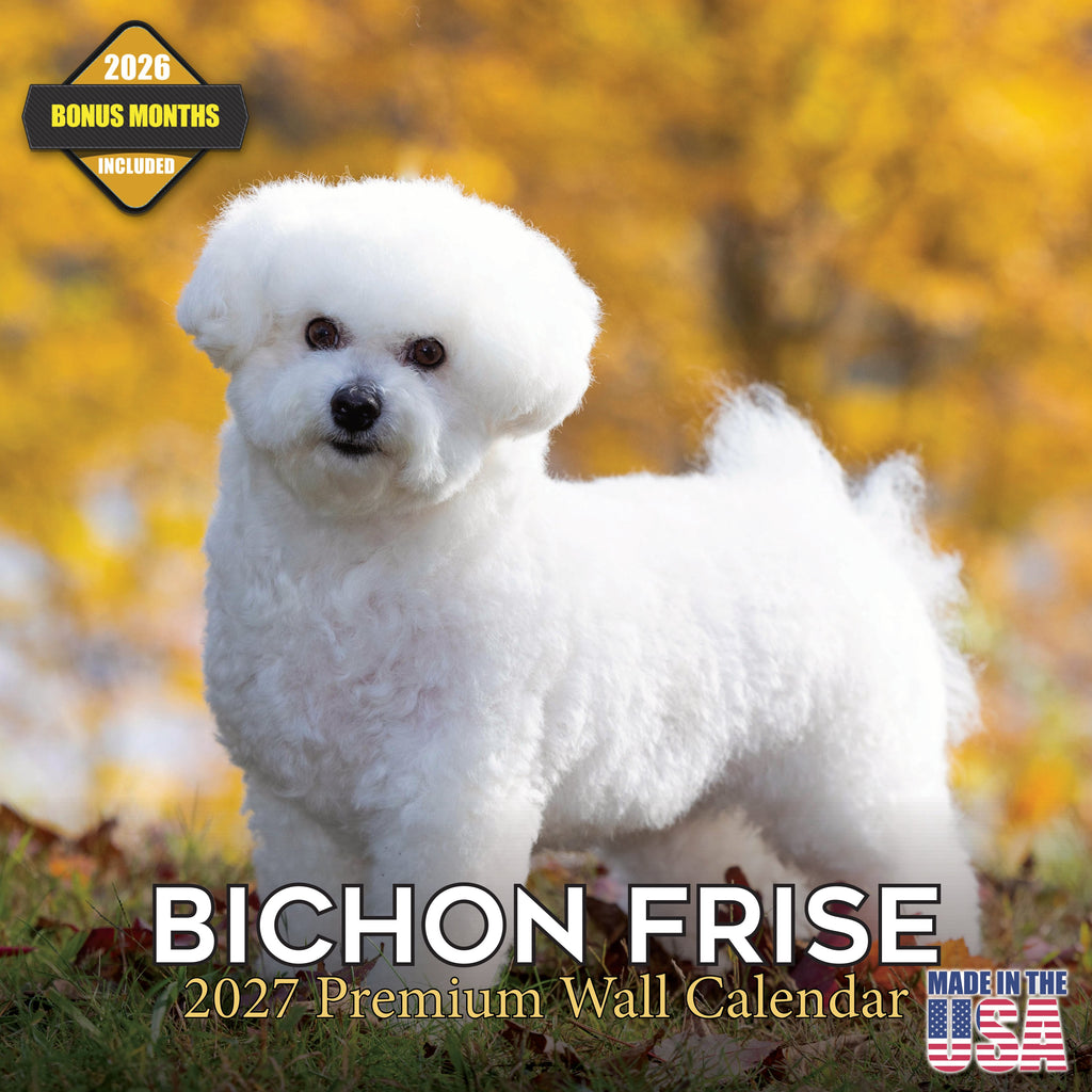 Bichon Frise Wall Calendar 2027 - 12" x 12" Monthly Cheerful Fluffy Toy Dog Breed Calendar