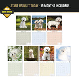 Bichon Frise Wall Calendar 2027 - 12" x 12" Monthly Cheerful Fluffy Toy Dog Breed Calendar