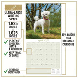 Bichon Frise Wall Calendar 2027 - 12" x 12" Monthly Cheerful Fluffy Toy Dog Breed Calendar