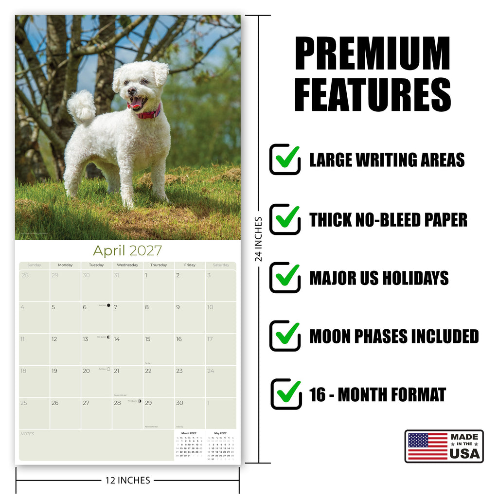 Bichon Frise Wall Calendar 2027 - 12" x 12" Monthly Cheerful Fluffy Toy Dog Breed Calendar