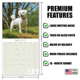 Bichon Frise Wall Calendar 2027 - 12" x 12" Monthly Cheerful Fluffy Toy Dog Breed Calendar