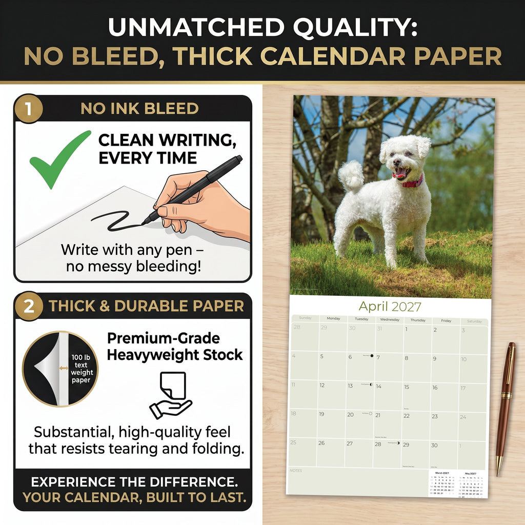Bichon Frise Wall Calendar 2027 - 12" x 12" Monthly Cheerful Fluffy Toy Dog Breed Calendar