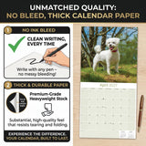 Bichon Frise Wall Calendar 2027 - 12" x 12" Monthly Cheerful Fluffy Toy Dog Breed Calendar
