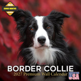Border Collie Wall Calendar 2027 - 12" x 12" Monthly Brilliant Agile Herding Dog Breed Calendar