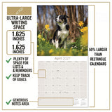 Border Collie Wall Calendar 2027 - 12" x 12" Monthly Brilliant Agile Herding Dog Breed Calendar