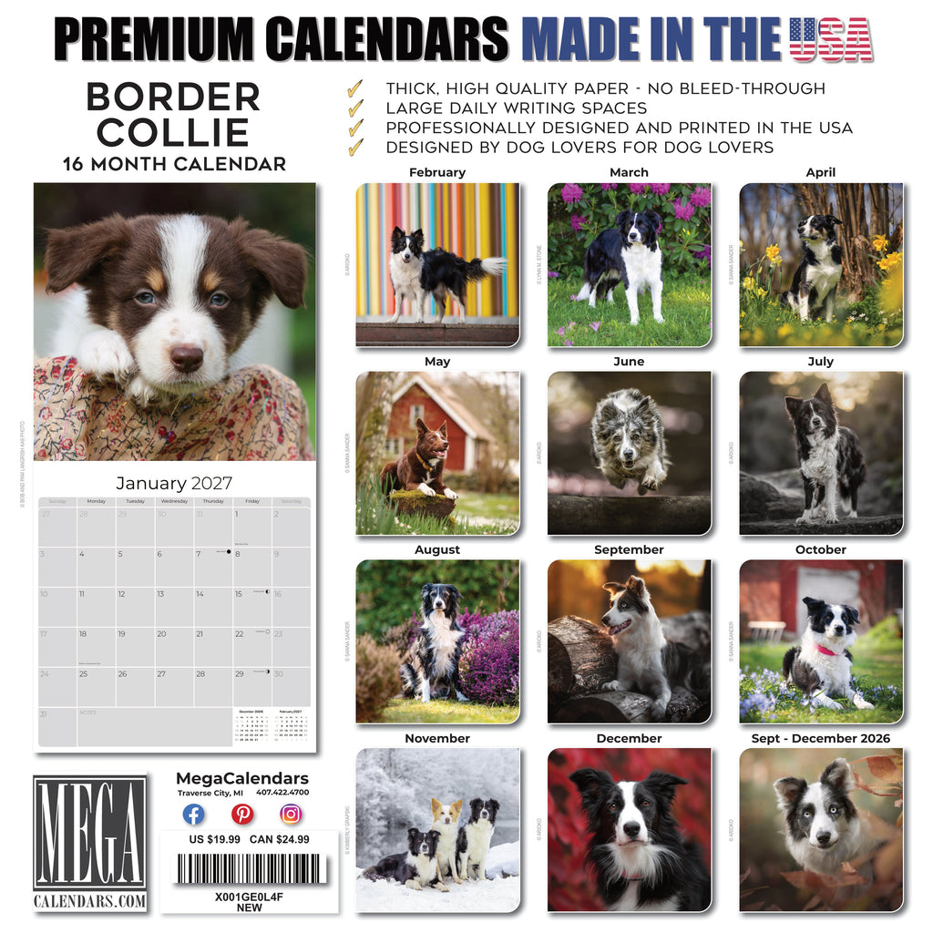 Border Collie Wall Calendar 2027 - 12" x 12" Monthly Brilliant Agile Herding Dog Breed Calendar