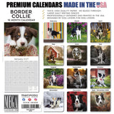 Border Collie Wall Calendar 2027 - 12" x 12" Monthly Brilliant Agile Herding Dog Breed Calendar