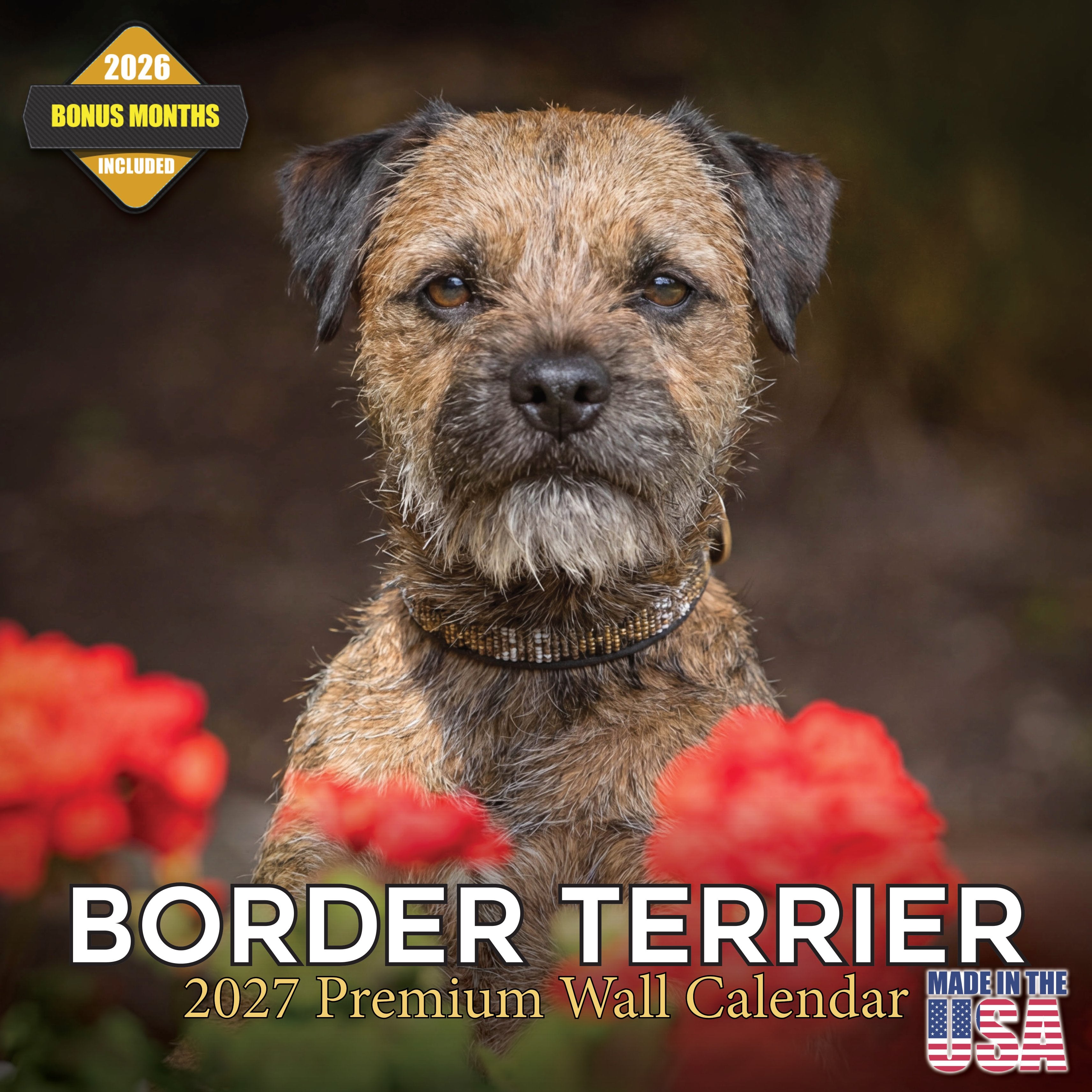 Border Terrier Wall Calendar 2027 - 12