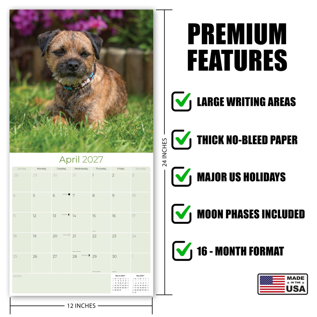 Border Terrier Wall Calendar 2027 - 12" x 12" Monthly Plucky Small Terrier Dog Breed Calendar
