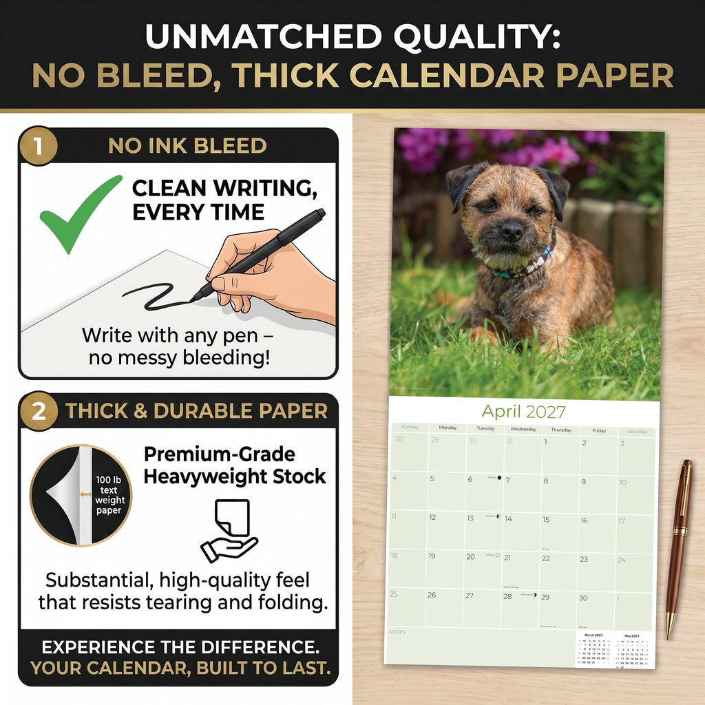 Border Terrier Wall Calendar 2027 - 12" x 12" Monthly Plucky Small Terrier Dog Breed Calendar