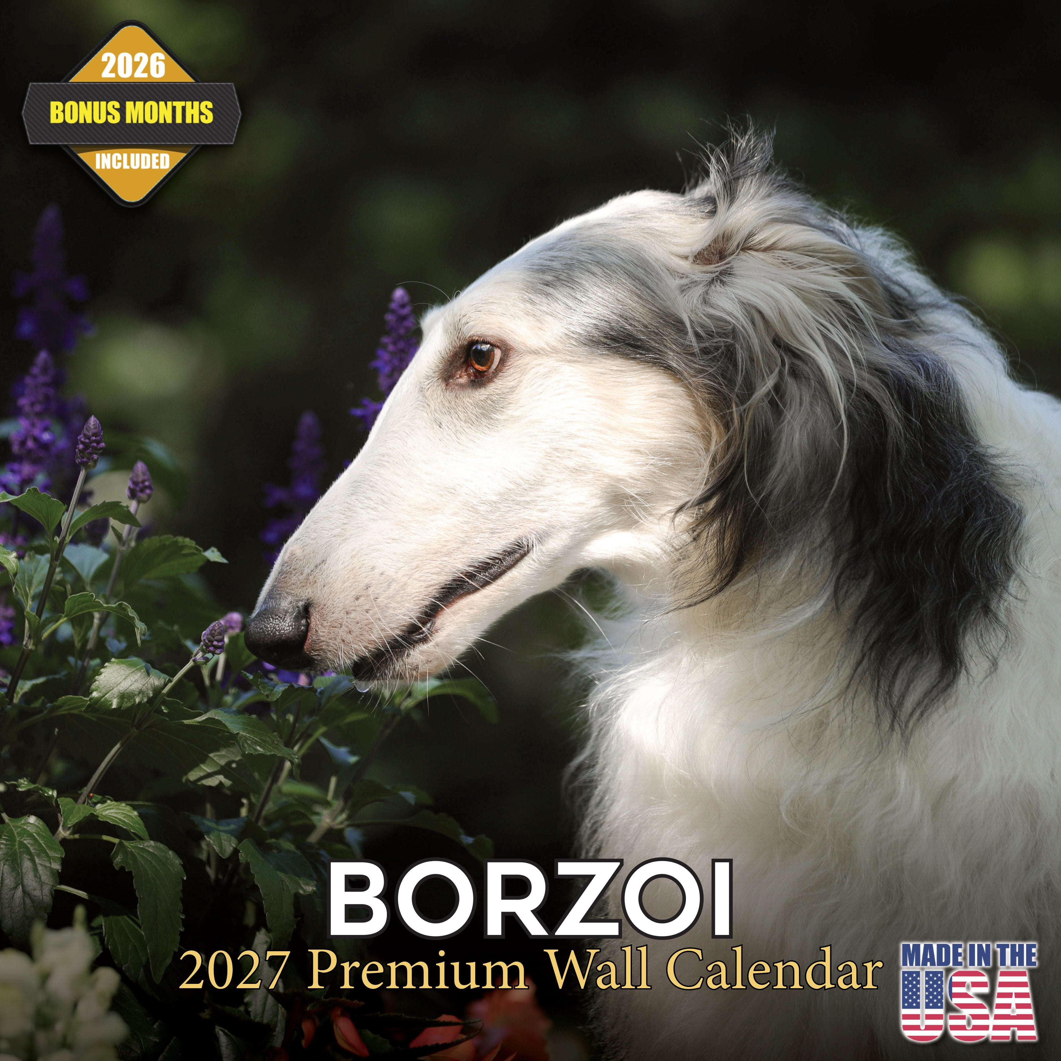 Borzoi Wall Calendar 2027 - 12