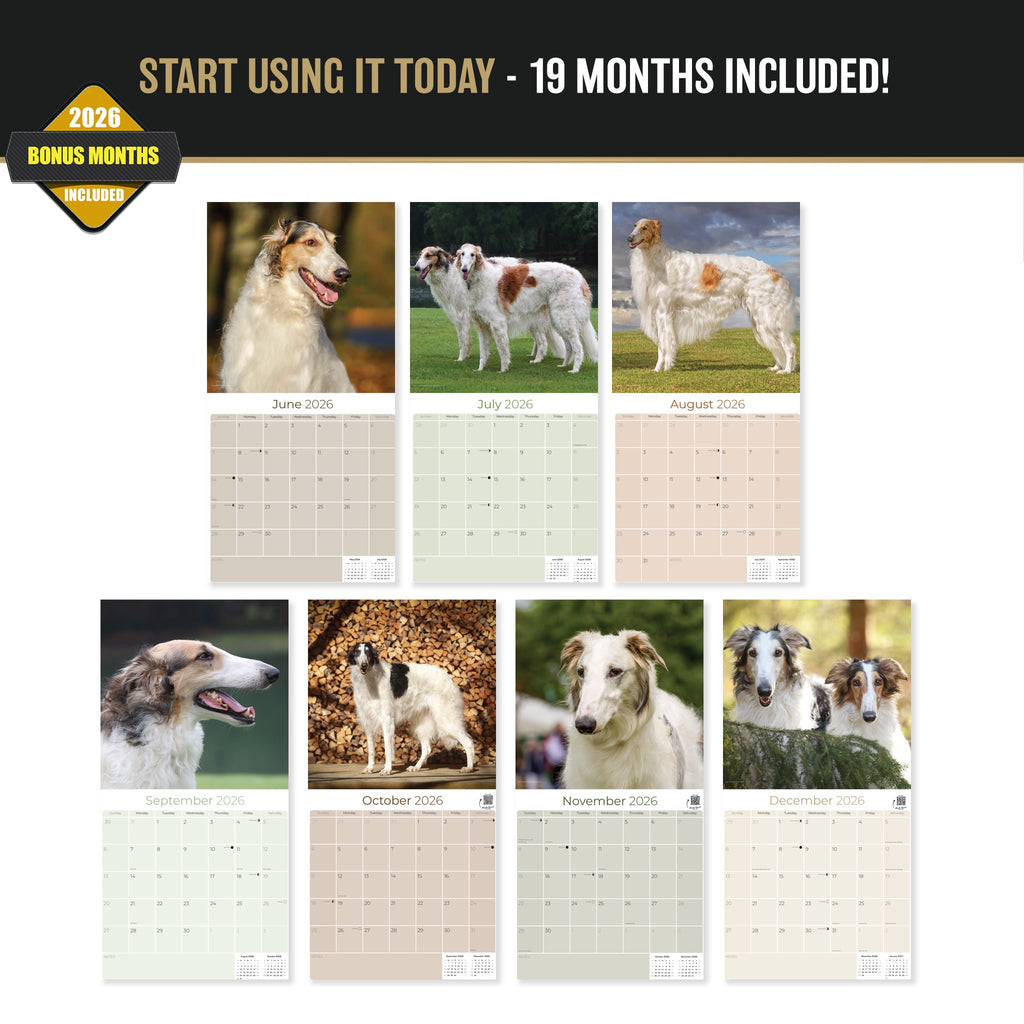 Borzoi Wall Calendar 2027 - 12" x 12" Monthly Regal Graceful Russian Sighthound Calendar