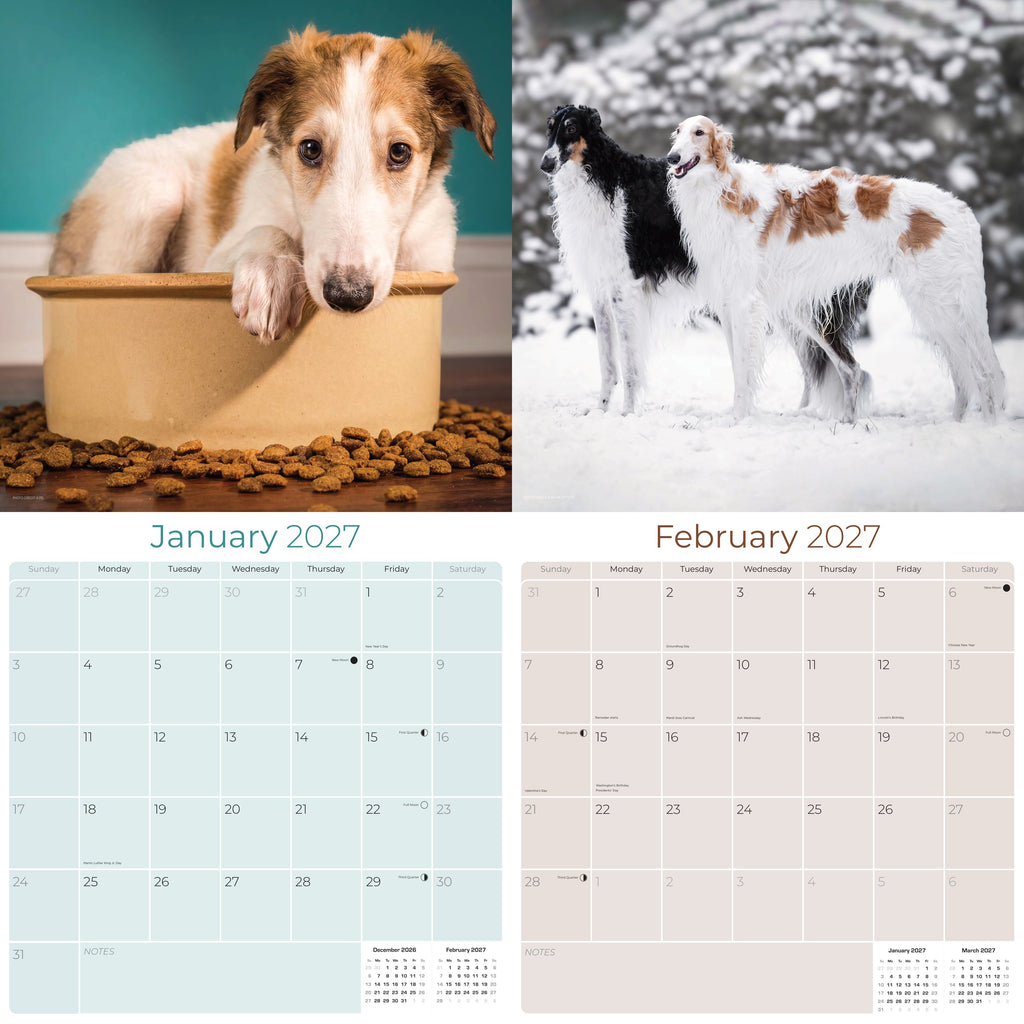 Borzoi Wall Calendar 2027 - 12" x 12" Monthly Regal Graceful Russian Sighthound Calendar