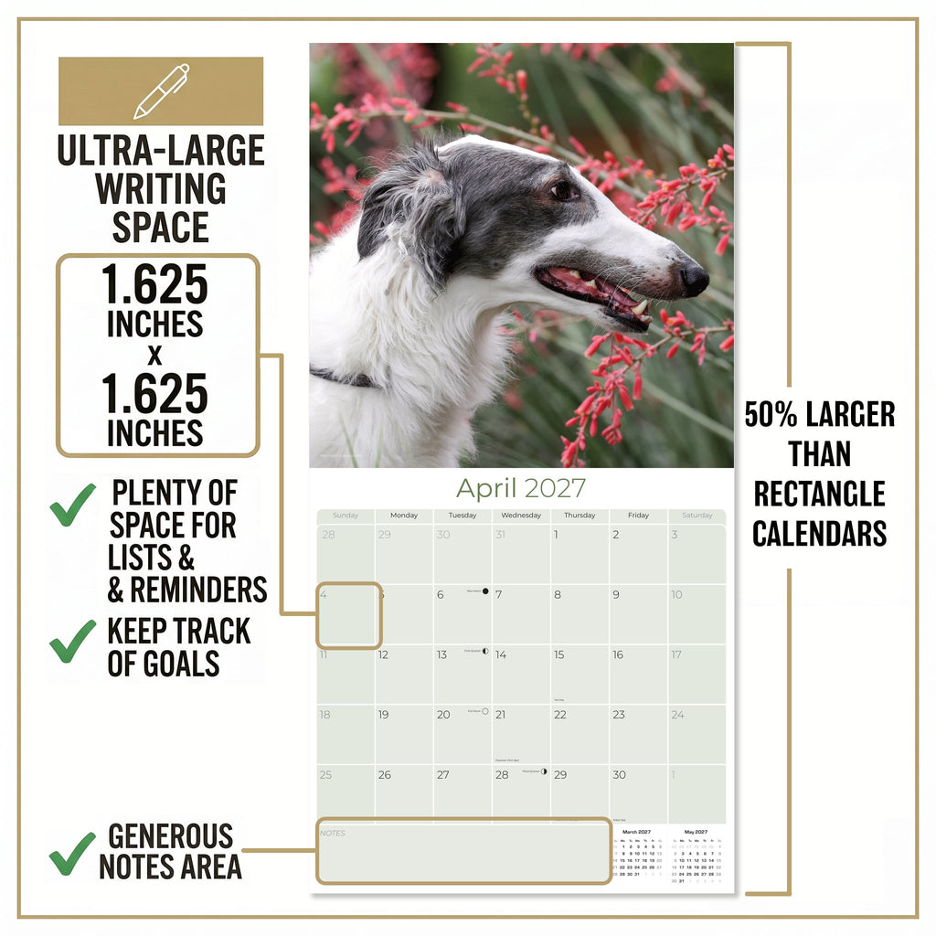 Borzoi Wall Calendar 2027 - 12" x 12" Monthly Regal Graceful Russian Sighthound Calendar