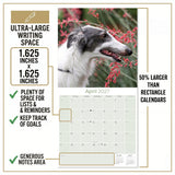 Borzoi Wall Calendar 2027 - 12" x 12" Monthly Regal Graceful Russian Sighthound Calendar