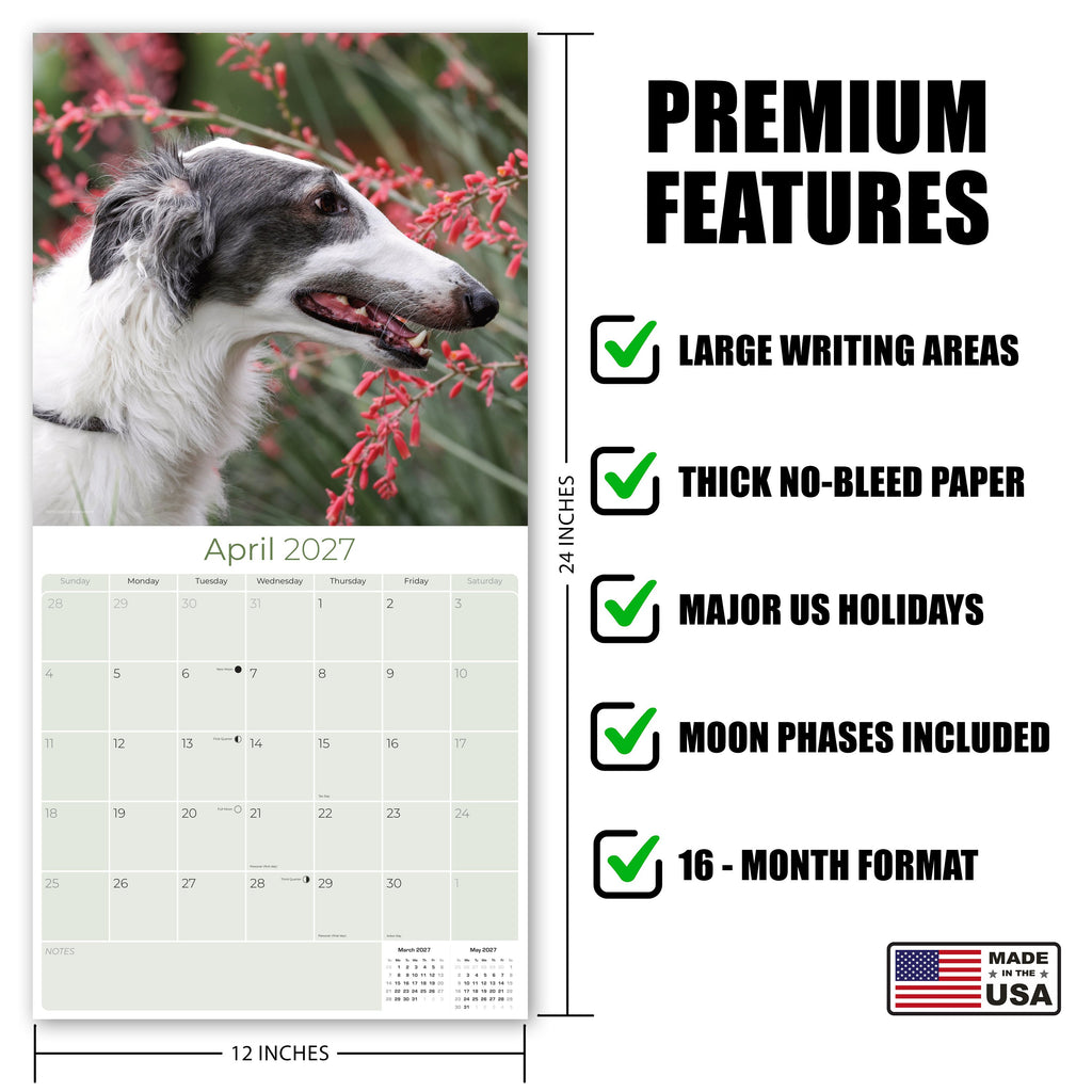 Borzoi Wall Calendar 2027 - 12" x 12" Monthly Regal Graceful Russian Sighthound Calendar