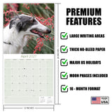 Borzoi Wall Calendar 2027 - 12" x 12" Monthly Regal Graceful Russian Sighthound Calendar