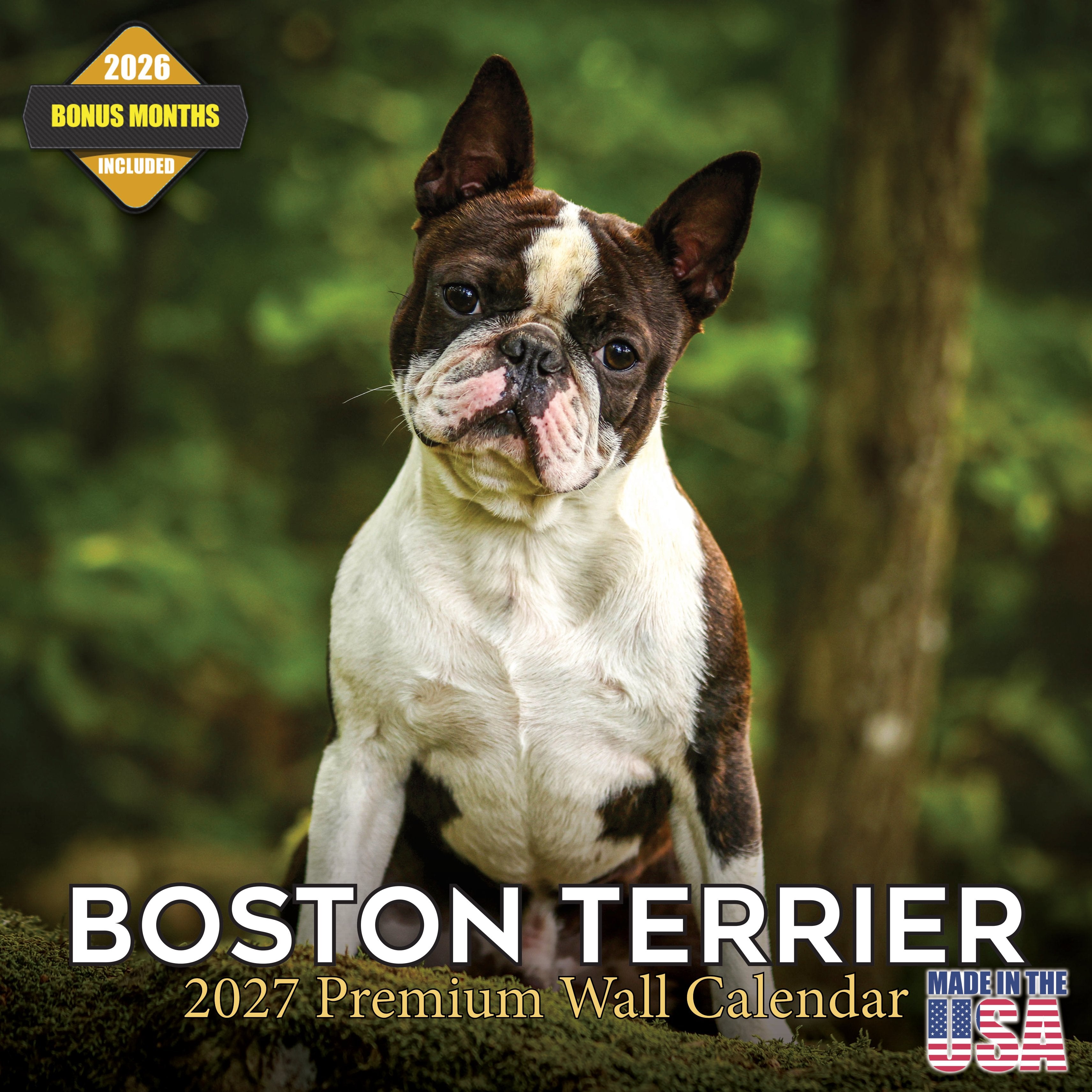 Boston Terrier Wall Calendar 2027 - 12