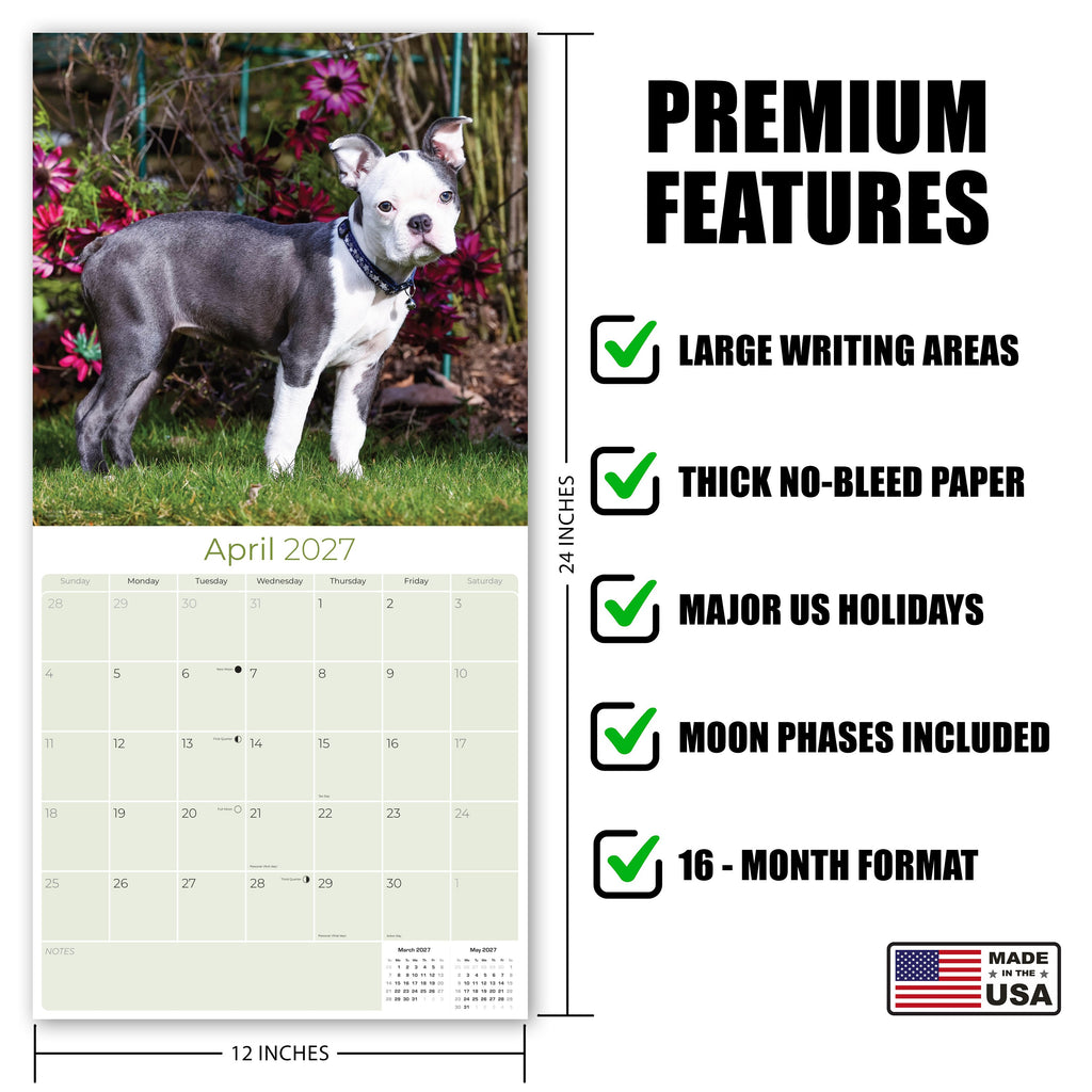 Boston Terrier Wall Calendar 2027 - 12" x 12" Monthly Lively Amusing American Gentleman Calendar
