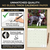 Boston Terrier Wall Calendar 2027 - 12" x 12" Monthly Lively Amusing American Gentleman Calendar