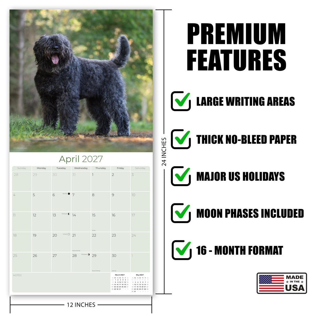 Bouvier de Flandres Wall Calendar 2027 - 12" x 12" Monthly Powerful Belgian Herding Dog Breed Calendar
