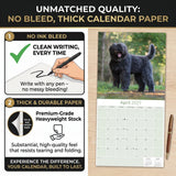 Bouvier de Flandres Wall Calendar 2027 - 12" x 12" Monthly Powerful Belgian Herding Dog Breed Calendar