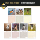 Boxer Wall Calendar 2027 - 12" x 12" Monthly Playful Courageous Athlete Dog Breed Calendar