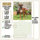 Boxer Wall Calendar 2027 - 12" x 12" Monthly Playful Courageous Athlete Dog Breed Calendar
