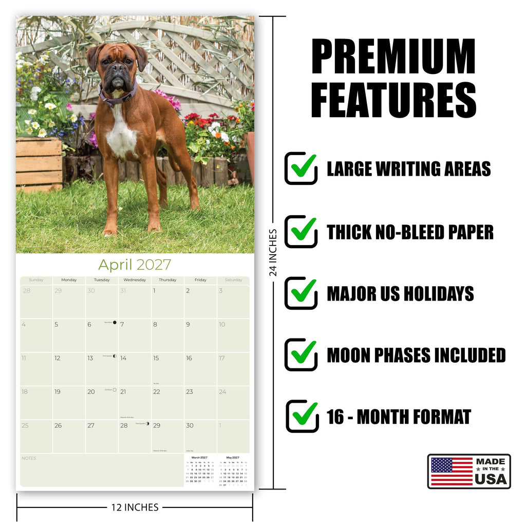 Boxer Wall Calendar 2027 - 12" x 12" Monthly Playful Courageous Athlete Dog Breed Calendar