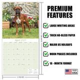 Boxer Wall Calendar 2027 - 12" x 12" Monthly Playful Courageous Athlete Dog Breed Calendar