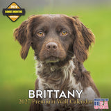 Brittany Wall Calendar 2027 - 12" x 12" Monthly Quick Eager Bird Hunting Dog Breed Calendar
