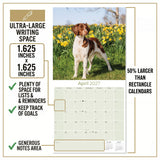 Brittany Wall Calendar 2027 - 12" x 12" Monthly Quick Eager Bird Hunting Dog Breed Calendar
