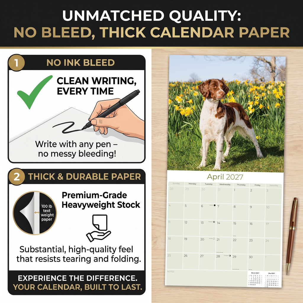 Brittany Wall Calendar 2027 - 12" x 12" Monthly Quick Eager Bird Hunting Dog Breed Calendar