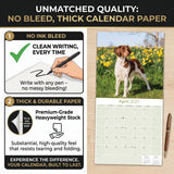Brittany Wall Calendar 2027 - 12" x 12" Monthly Quick Eager Bird Hunting Dog Breed Calendar