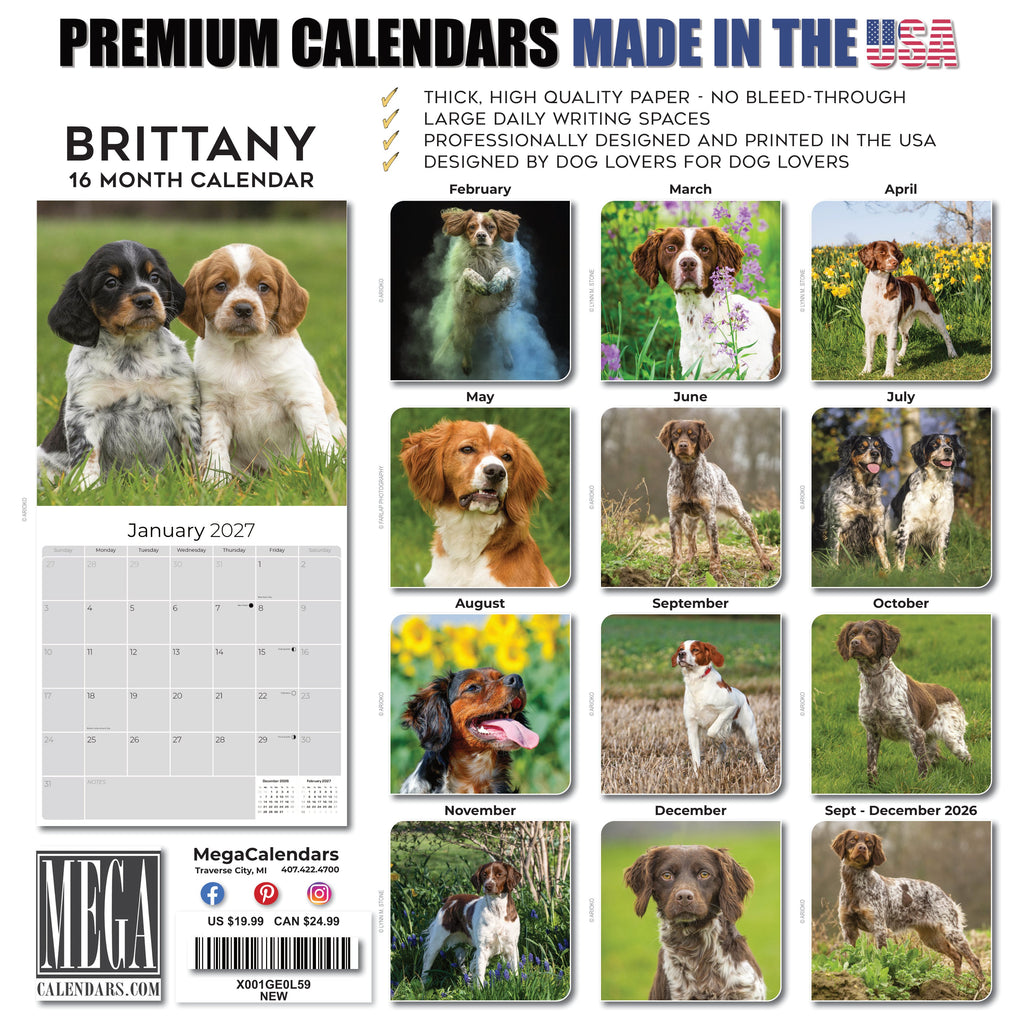 Brittany Wall Calendar 2027 - 12" x 12" Monthly Quick Eager Bird Hunting Dog Breed Calendar