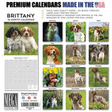 Brittany Wall Calendar 2027 - 12" x 12" Monthly Quick Eager Bird Hunting Dog Breed Calendar