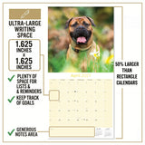 Bullmastiff Wall Calendar 2027 - 12" x 12" Monthly Brave Affectionate Giant Guard Dog Calendar