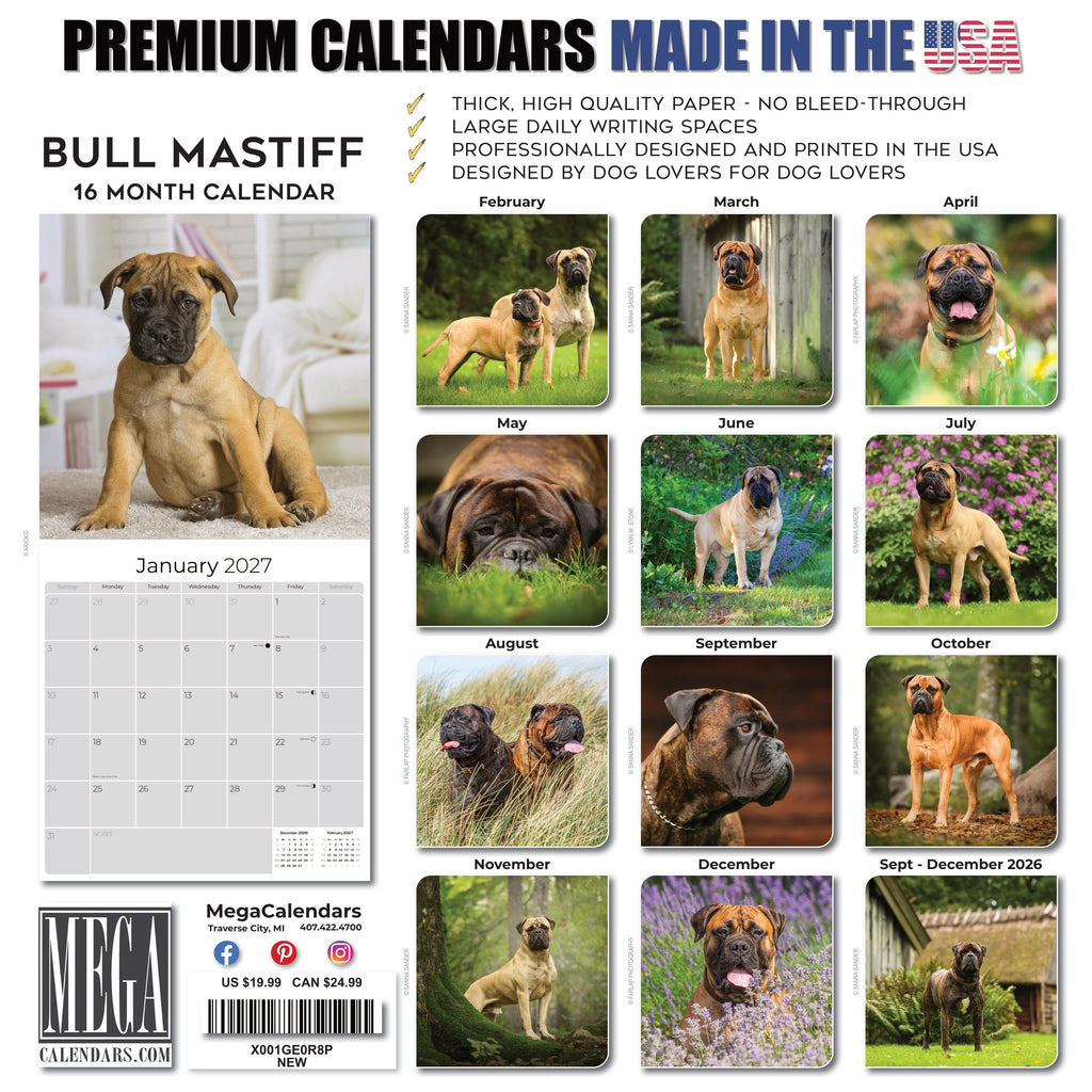 Bullmastiff Wall Calendar 2027 - 12" x 12" Monthly Brave Affectionate Giant Guard Dog Calendar