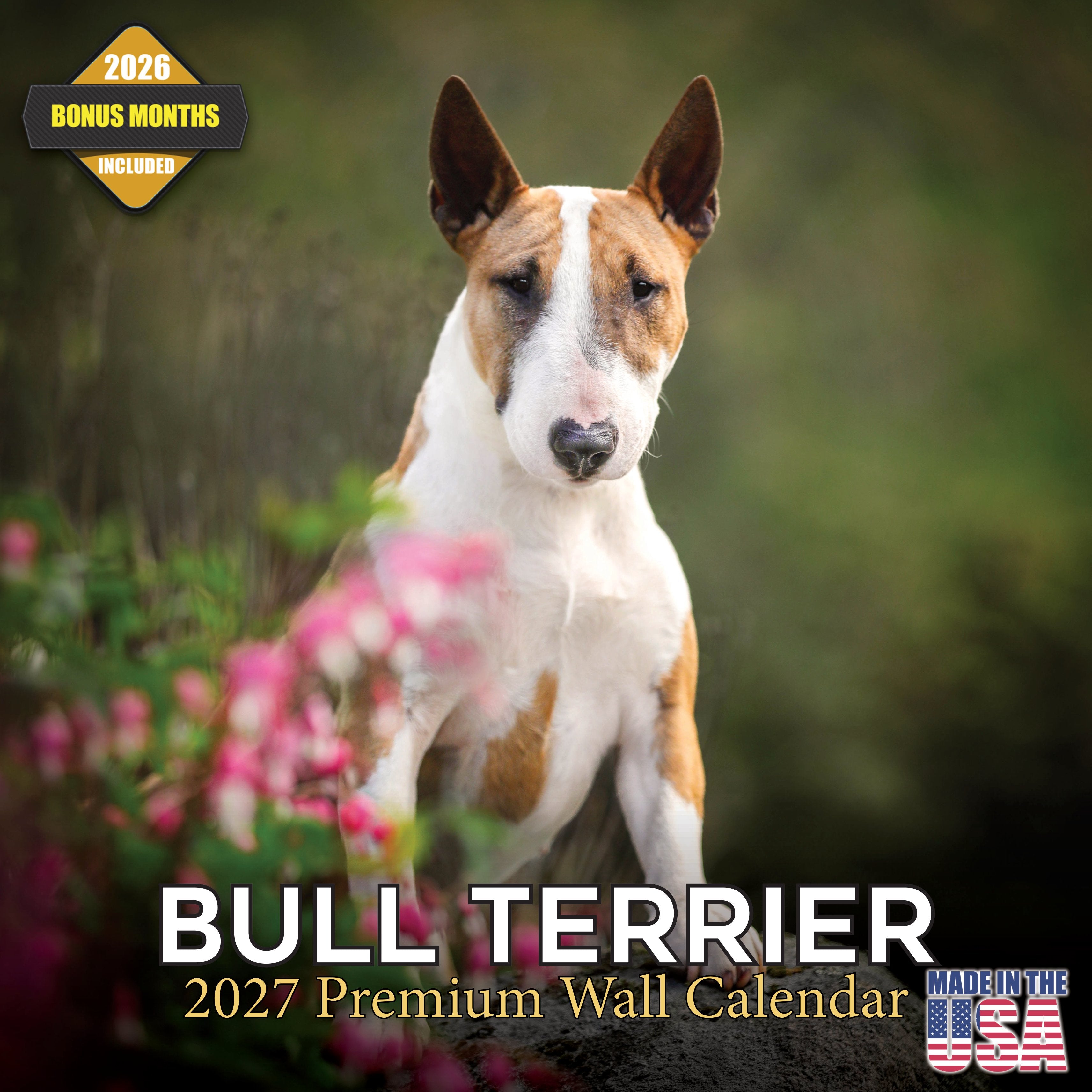 Bull Terrier Wall Calendar 2027 - 12