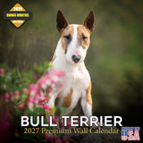 Bull Terrier Wall Calendar 2027 - 12" x 12" Monthly Jaunty Comedic Egg-Head Terrier Calendar