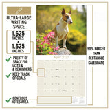 Bull Terrier Wall Calendar 2027 - 12" x 12" Monthly Jaunty Comedic Egg-Head Terrier Calendar