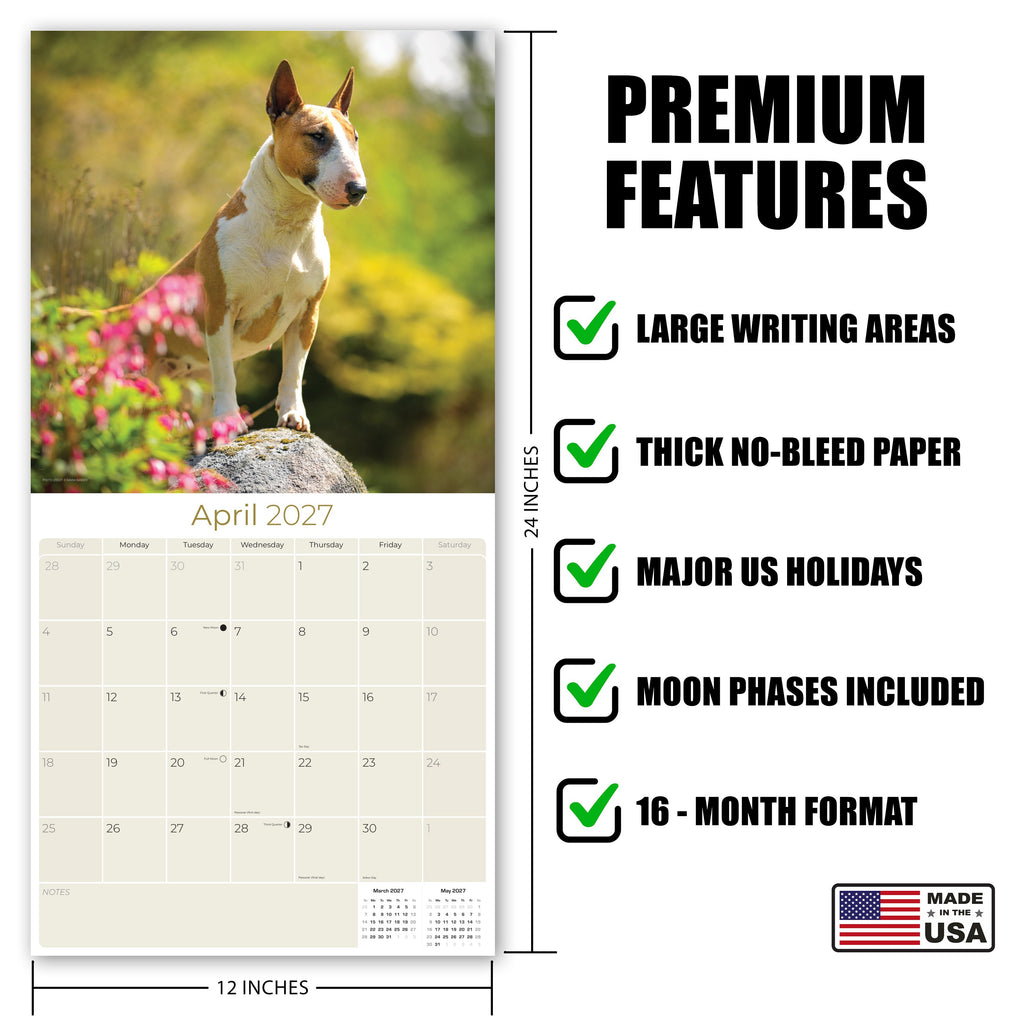 Bull Terrier Wall Calendar 2027 - 12" x 12" Monthly Jaunty Comedic Egg-Head Terrier Calendar