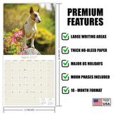 Bull Terrier Wall Calendar 2027 - 12" x 12" Monthly Jaunty Comedic Egg-Head Terrier Calendar