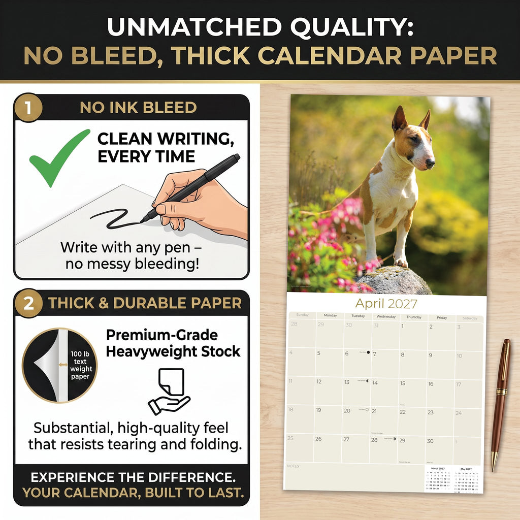 Bull Terrier Wall Calendar 2027 - 12" x 12" Monthly Jaunty Comedic Egg-Head Terrier Calendar