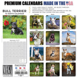Bull Terrier Wall Calendar 2027 - 12" x 12" Monthly Jaunty Comedic Egg-Head Terrier Calendar