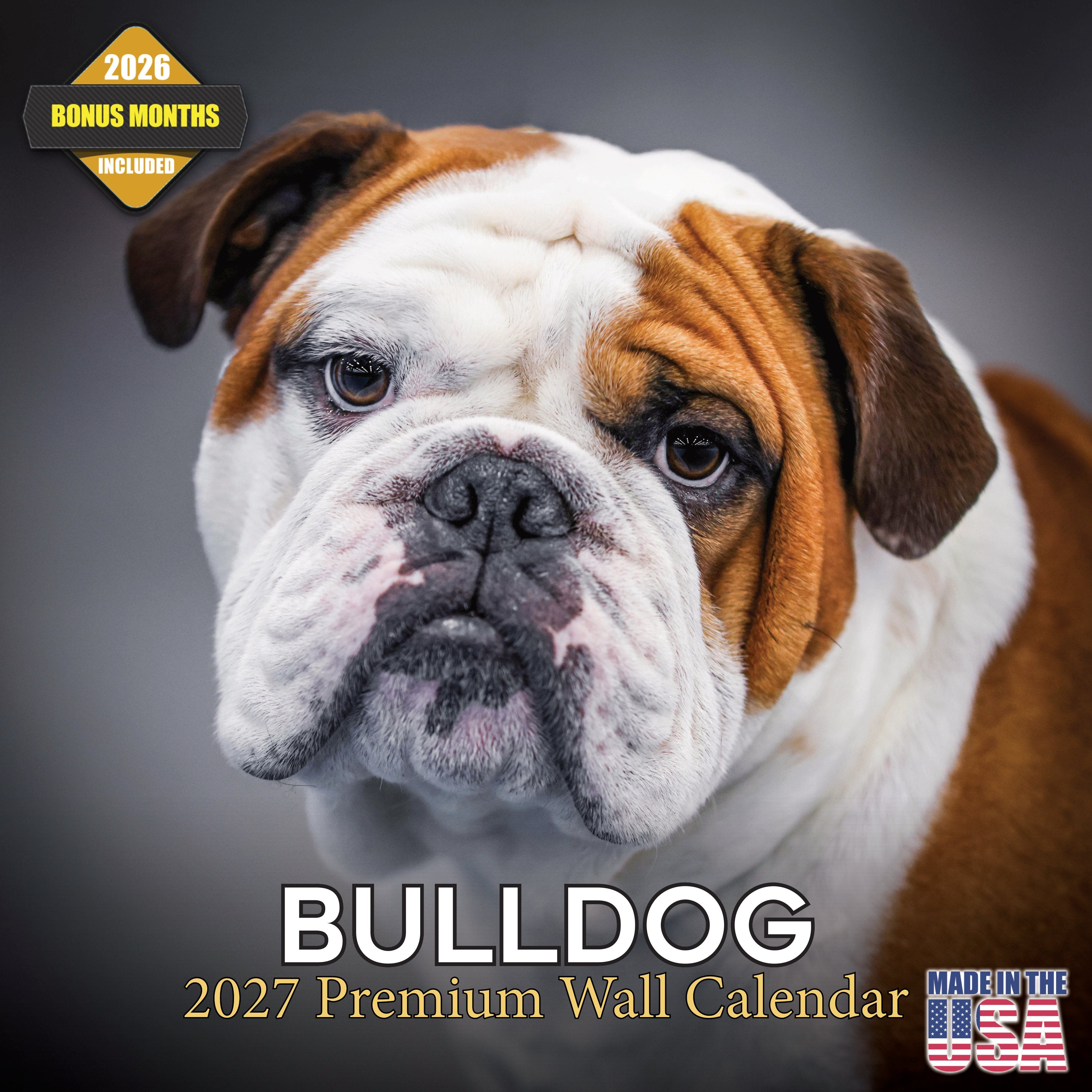 Bulldog Wall Calendar 2027 - 12