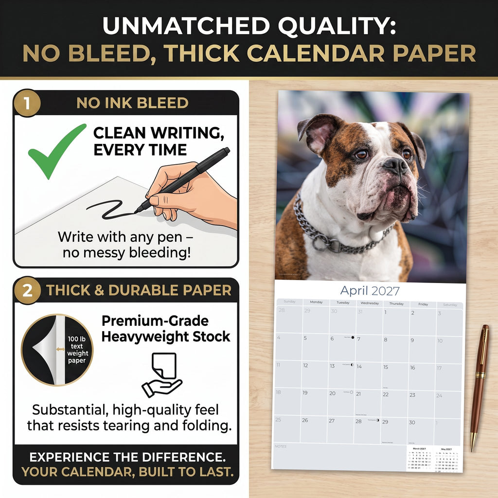 Bulldog Wall Calendar 2027 - 12" x 12" Monthly Courageous Calm English Bulldog Calendar