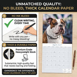 Bulldog Wall Calendar 2027 - 12" x 12" Monthly Courageous Calm English Bulldog Calendar