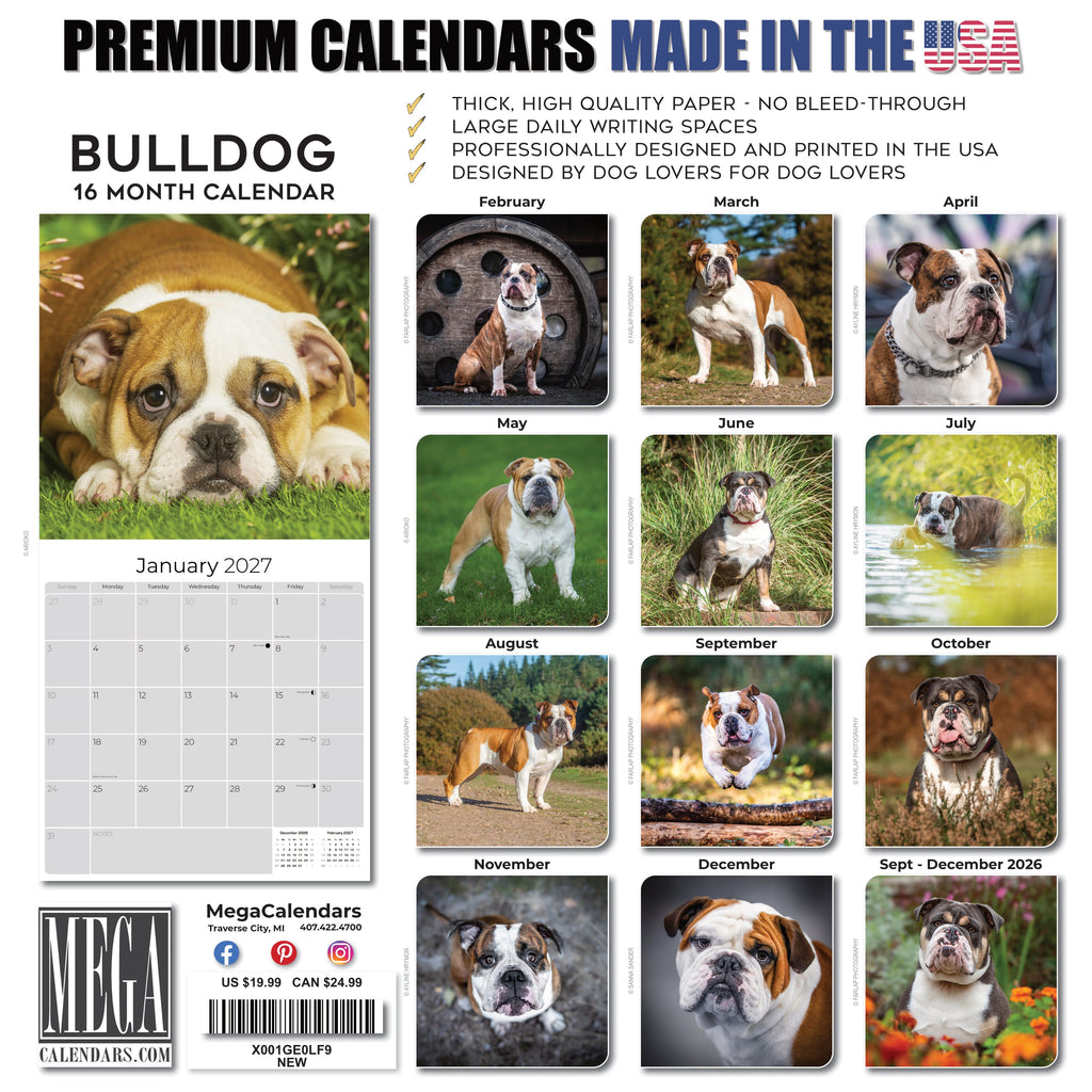 Bulldog Wall Calendar 2027 - 12" x 12" Monthly Courageous Calm English Bulldog Calendar