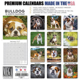 Bulldog Wall Calendar 2027 - 12" x 12" Monthly Courageous Calm English Bulldog Calendar